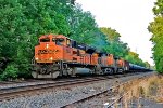BNSF 9039 on B-119